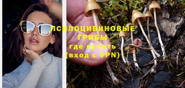 spice Абинск