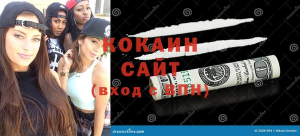 прущие грибы Алзамай