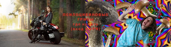 a pvp Абаза